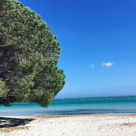 Appartement Proche Des Plus Belles Plages Porto-Vecchio  Exteriér fotografie