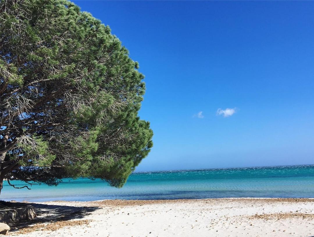Appartement Proche Des Plus Belles Plages Porto-Vecchio  Exteriér fotografie
